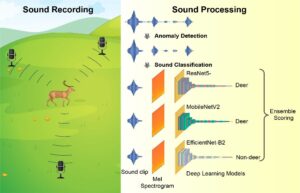 AIを利用した音声分析技術でシカの行動実態に迫る