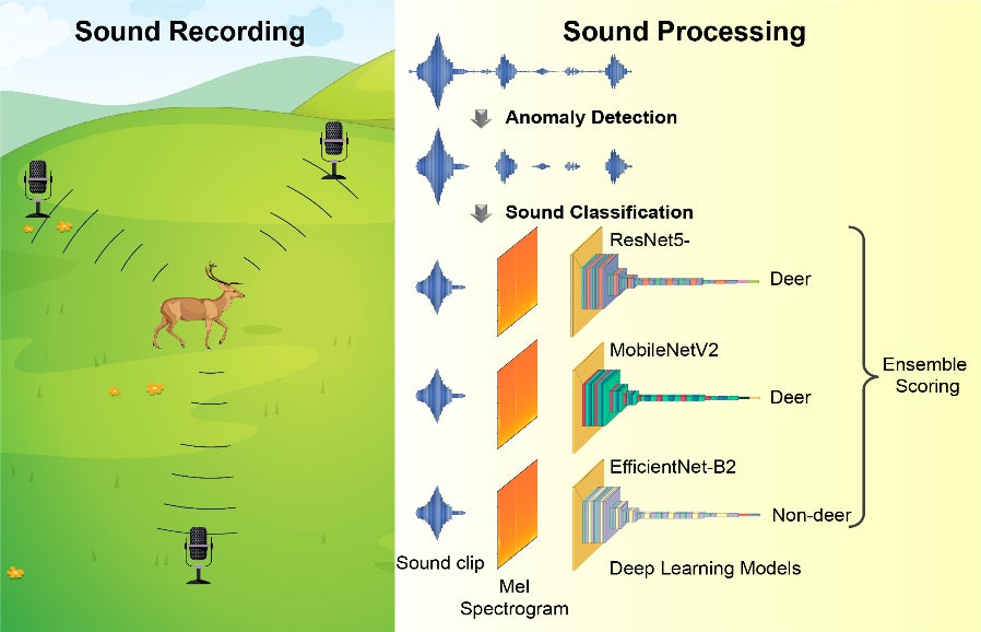 AIを利用した音声分析技術でシカの行動実態に迫る