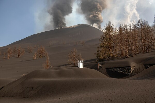 カナリア諸島のラ・パルマ火山に埋もれた夢を再建する感動的なキャンペーン「マカロニアン・ストーリーズ