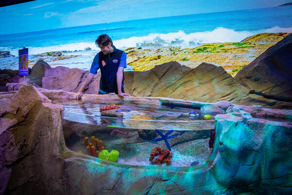 シーライフシドニー水族館（SEA LIFE Sydney Aquarium）に飛び込もう