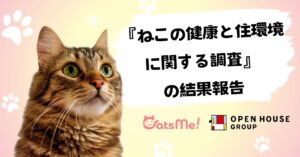 猫の痛み検知AI「CatsMe」で実施「ねこの健康と住環境に関する調査」結果発表