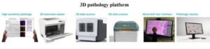 JelloX Biotech Establishes US Research Base