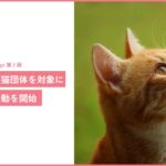 猫の痛みを 96% 以上の精度で検知する AI 「CatsMe」、「CatHealthcare Campaign」の第2弾として、保護猫団体への寄付・連携活動を開始