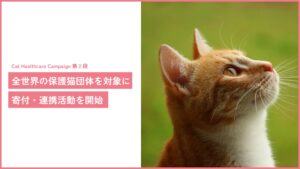 猫の痛みを 96% 以上の精度で検知する AI 「CatsMe」、「CatHealthcare Campaign」の第2弾として、保護猫団体への寄付・連携活動を開始