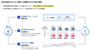 FRONTEO、AI創薬支援サービス「Drug Discovery AI Factory」によるすい臓がん新規標的分子候補の細胞増殖抑制効果の検証結果を受け今後の研究指針を策定