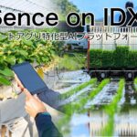 AIデータ社、“農業の勘と経験を、データとAIで見える化・継承”　「AI AgriSence on IDX」リリース