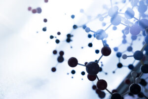 Omya Performance Polymer DistributionがK-Fair 2025で正式デビュー