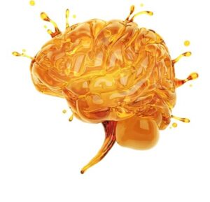 Alamar Biosciences、非侵襲的かつ脳特異的なアルツハイマー病研究用バイオマーカー検出における革新技術「NULISAqpcr™ BD-pTau217アッセイ」を発表