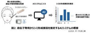 個々のシミの形成要因を独自AIシステムにより推定可能に