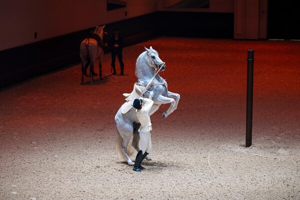 世界第5位の古典馬術学校、Abu Dhabi Royal Equestrian Artsが正式に開校