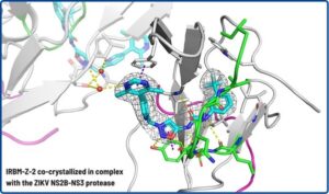 IRBM、ジカウイルス治療薬の発見において画期的な進展を報告