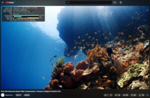 Robo.ai 旗下子公司 Neurovia AI 发布技术平台NeuroStream™ ，构筑物理世界 AI 视觉数据基础设施