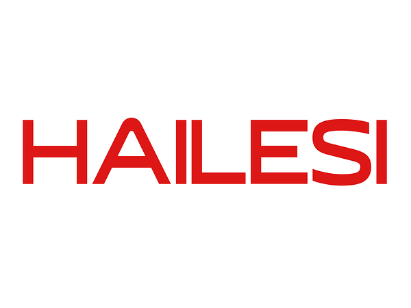 Nintendo Switchゲーマー向け携帯型大画面モニター、HAILESI S135―ピーク輝度500ニット、鮮明な2.2K解像度の有力候補