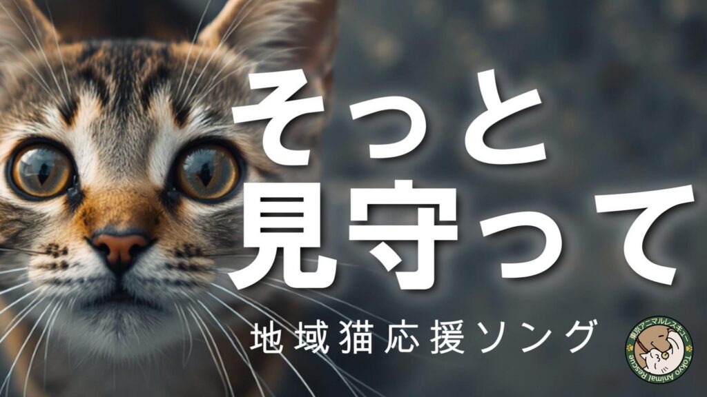動物愛護週間特別企画：地域猫をAIで応援するプロジェクトが始動！地域猫応援ソングAIミュージックビデオをYouTubeで公開