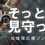 動物愛護週間特別企画：地域猫をAIで応援するプロジェクトが始動！地域猫応援ソングAIミュージックビデオをYouTubeで公開