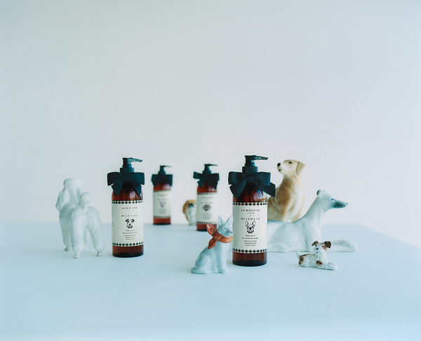 Jo Malone London×WildWashのドッグシャンプーをご紹介